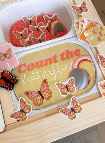 10+ Sensory Bin Ideas