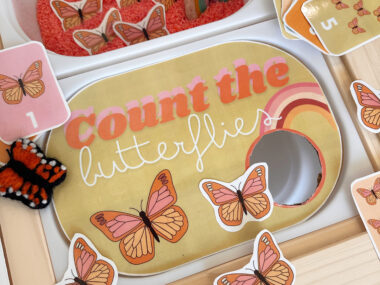 10+ Sensory Bin Ideas